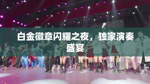 白金徽章闪耀之夜，独家演奏盛宴