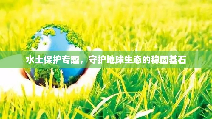水土保护专题,守护地球生态的稳固基石