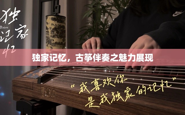 独家记忆,古筝伴奏之魅力展现