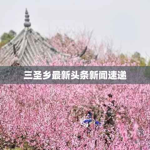 三圣乡最新头条新闻速递